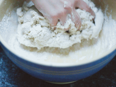 kneadbowl